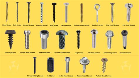 Screw Meaning .